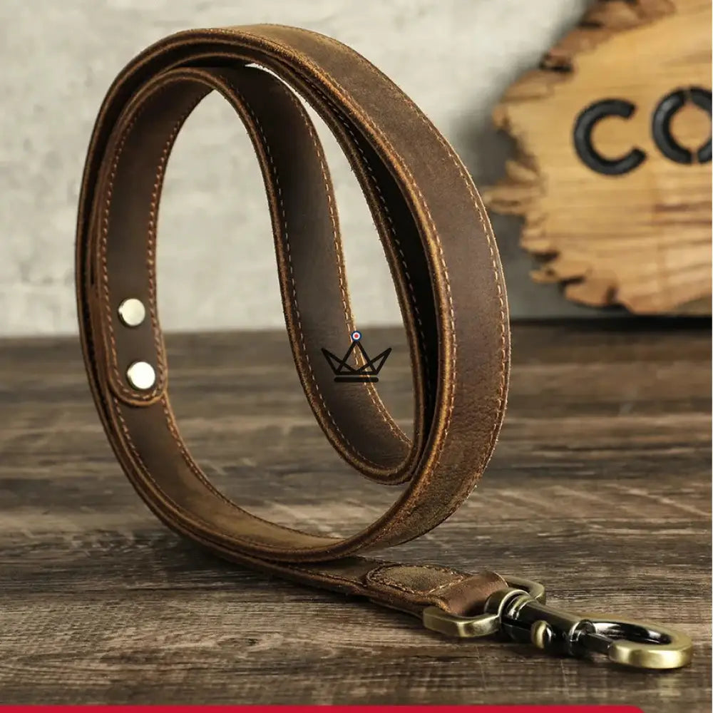 Customizable leather dog leash - Canis Lupus Voyager — view 1