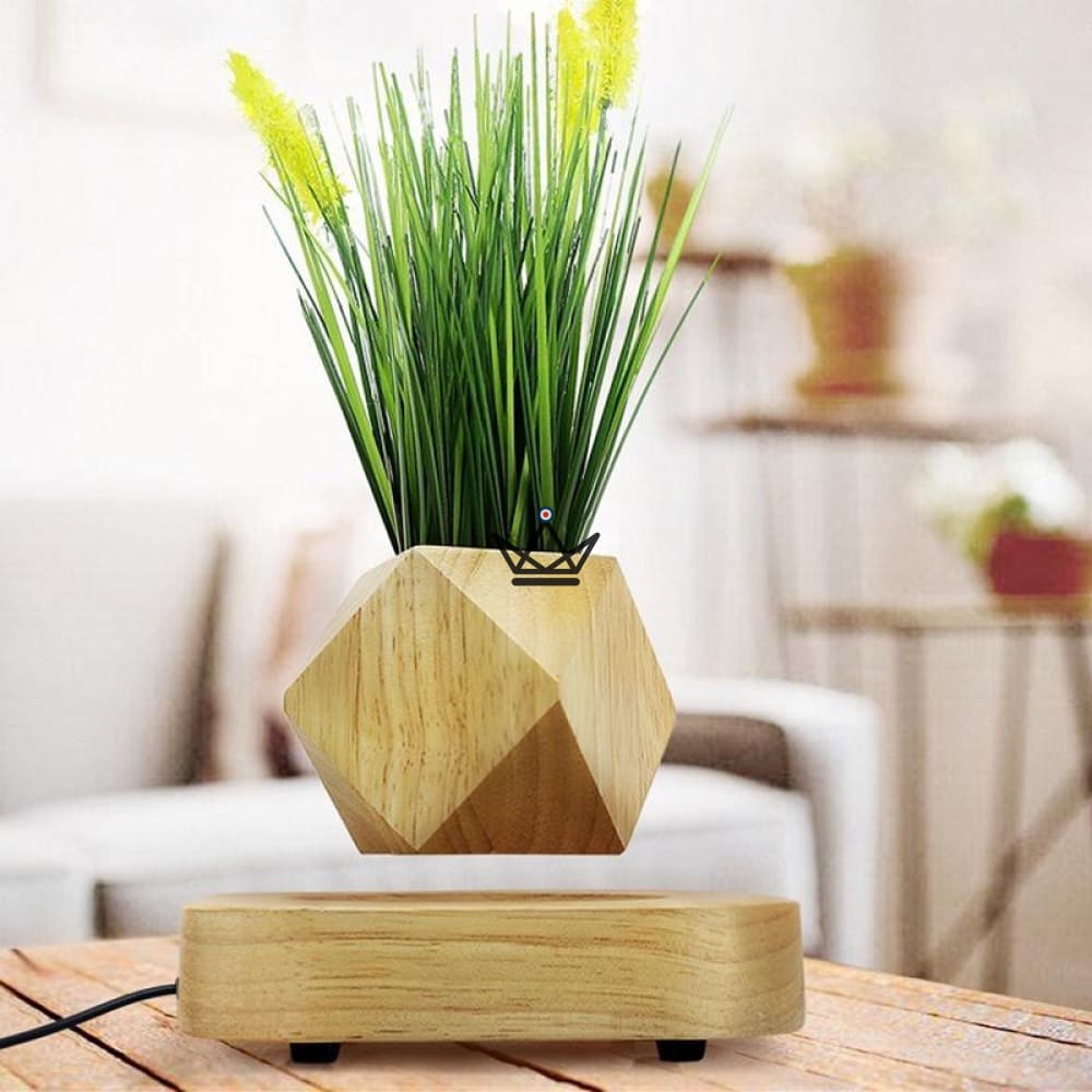 Madera vegetal levitadora - TIBET Madera vegetal levitadora - TIBET
