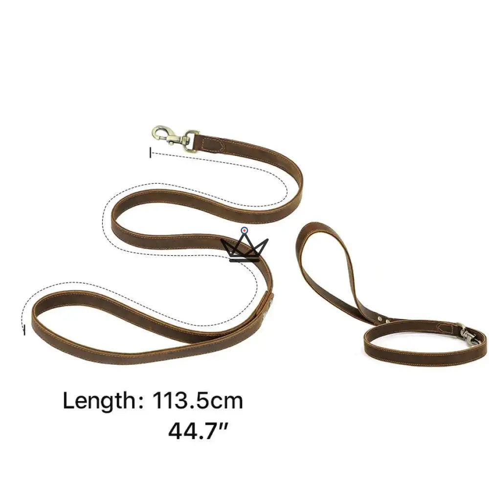 Customizable leather dog leash - Canis Lupus Voyager — view 6