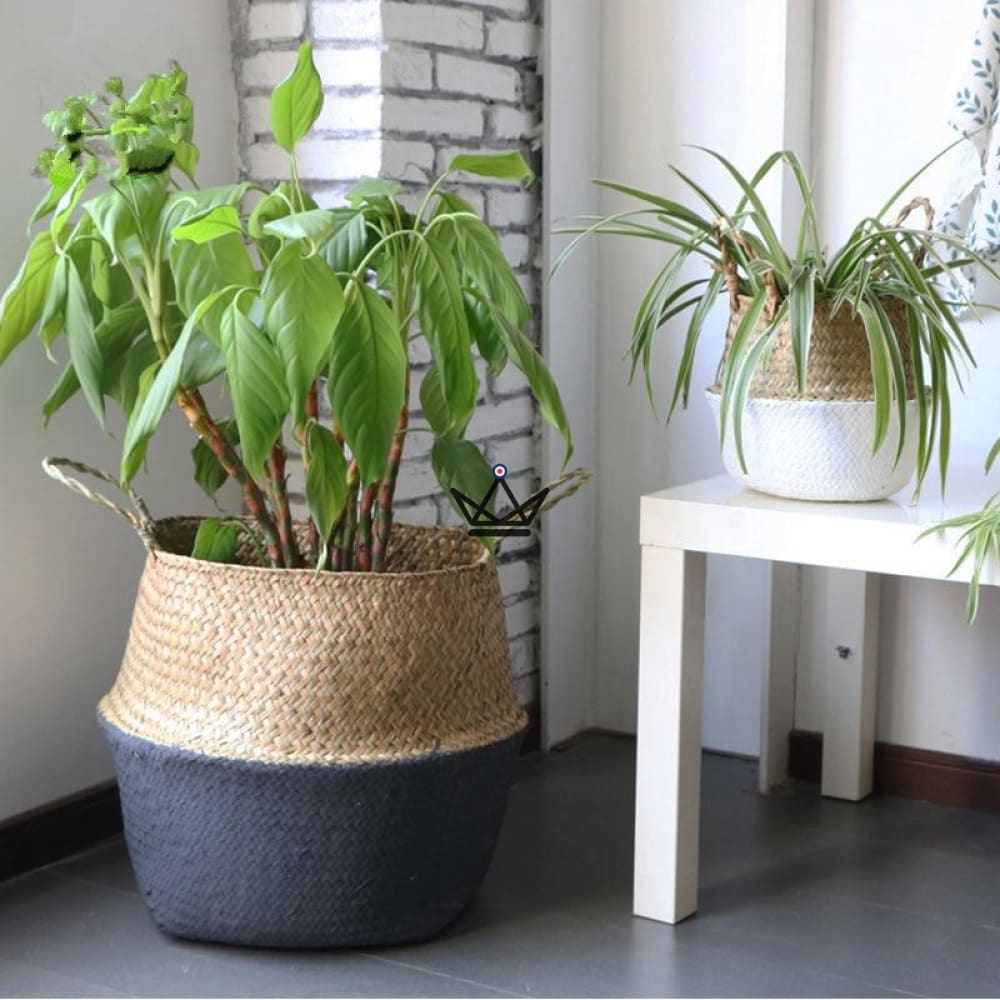 Canastas de brujas - OZER - vista 1