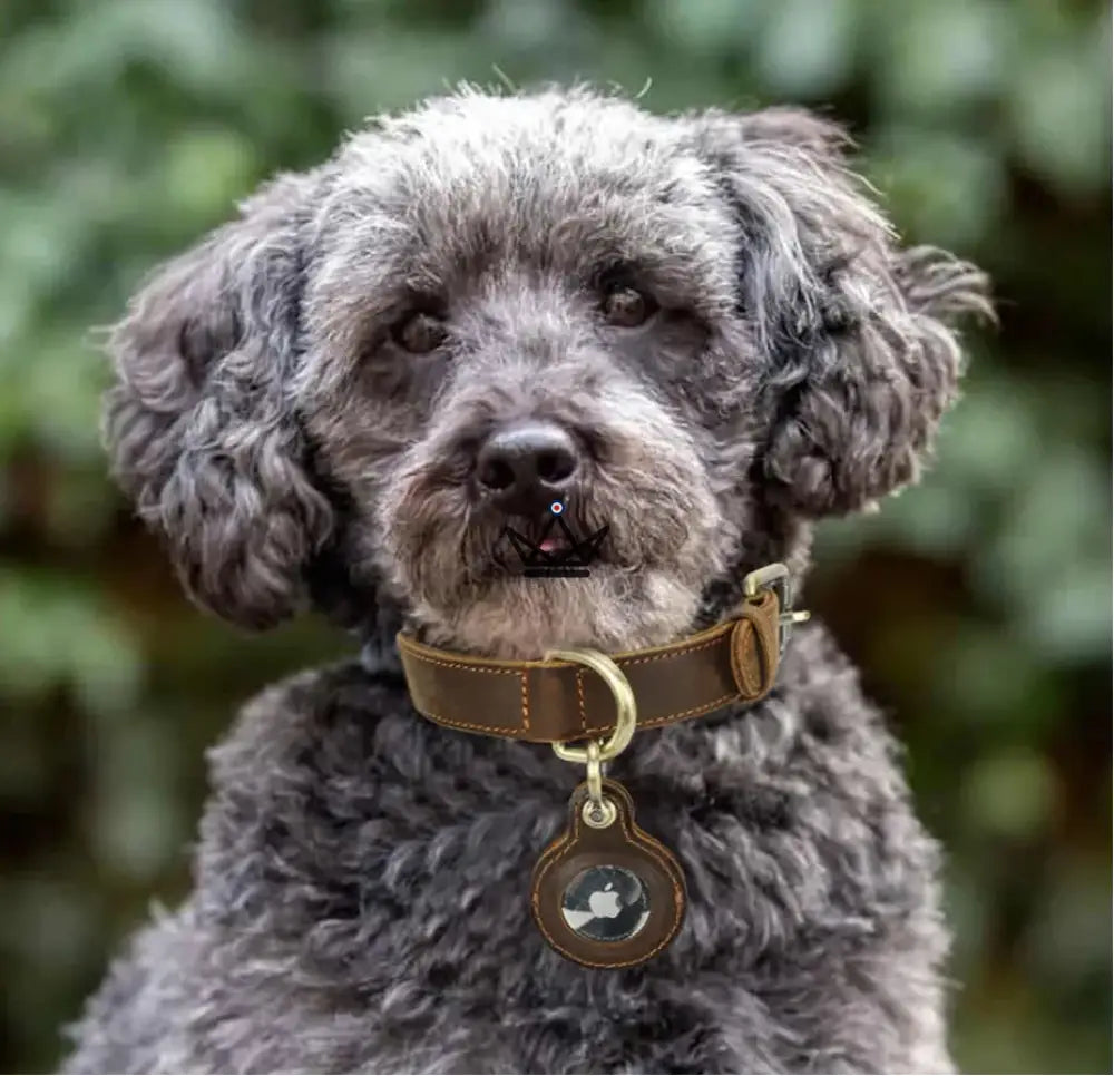 Collier en cuir personnalisable pour chien, Emplacement AirTag – Voyageur Argos — image 3