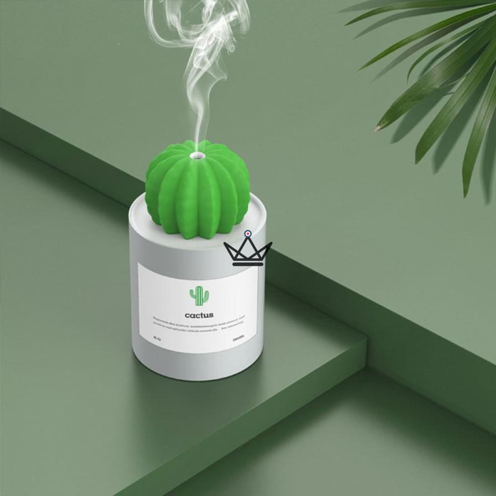 Difusor de aceite esencial - CACTUS — Grey
