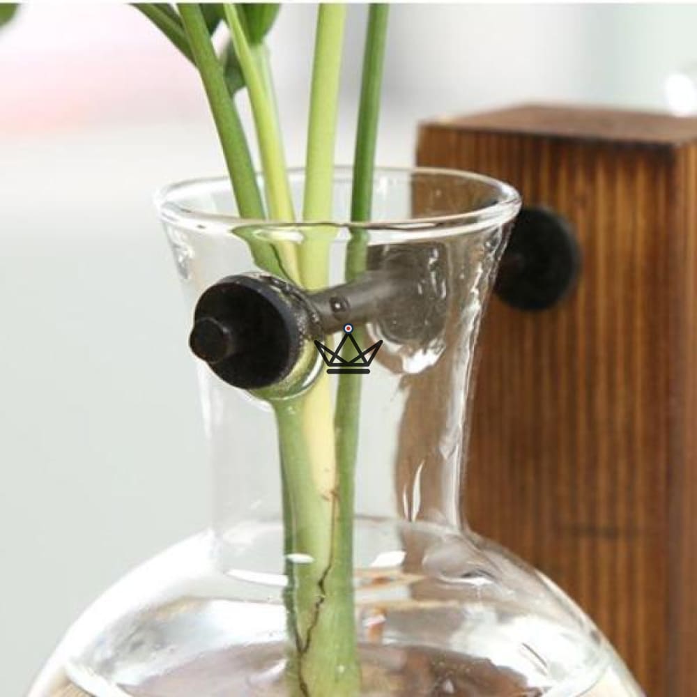 Blumenzwiebelterrarium - EKY – Ansicht 3