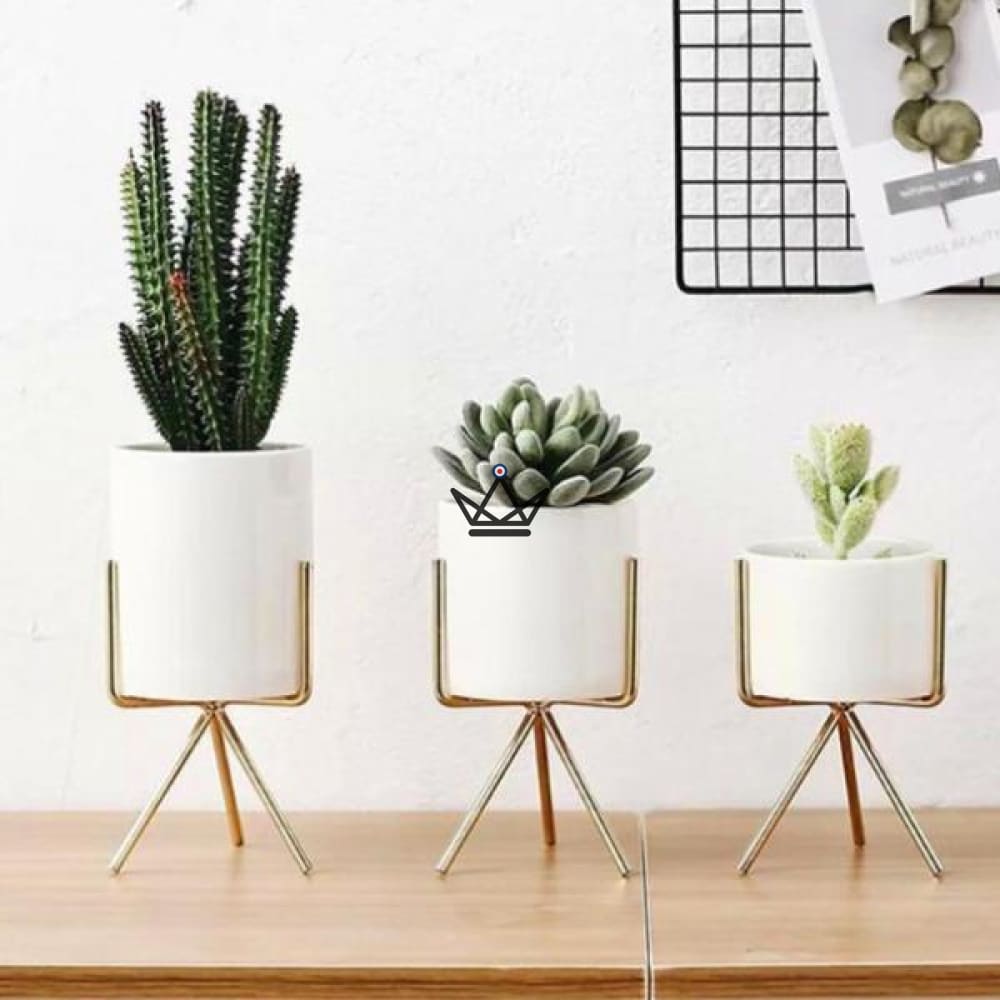 Set aus 3 Keramikvasen - NORDIK