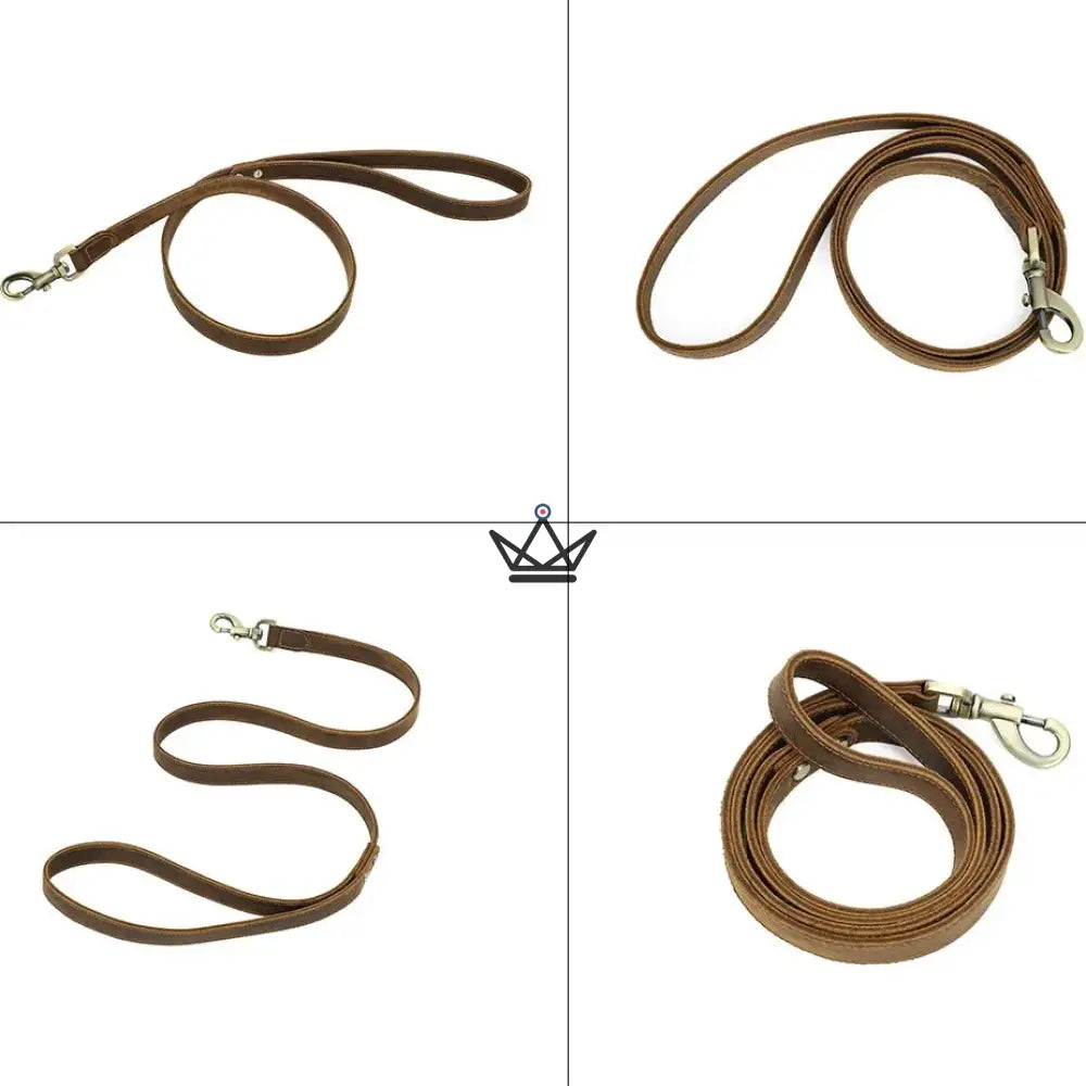 Customizable leather dog leash - Canis Lupus Voyager — view 5