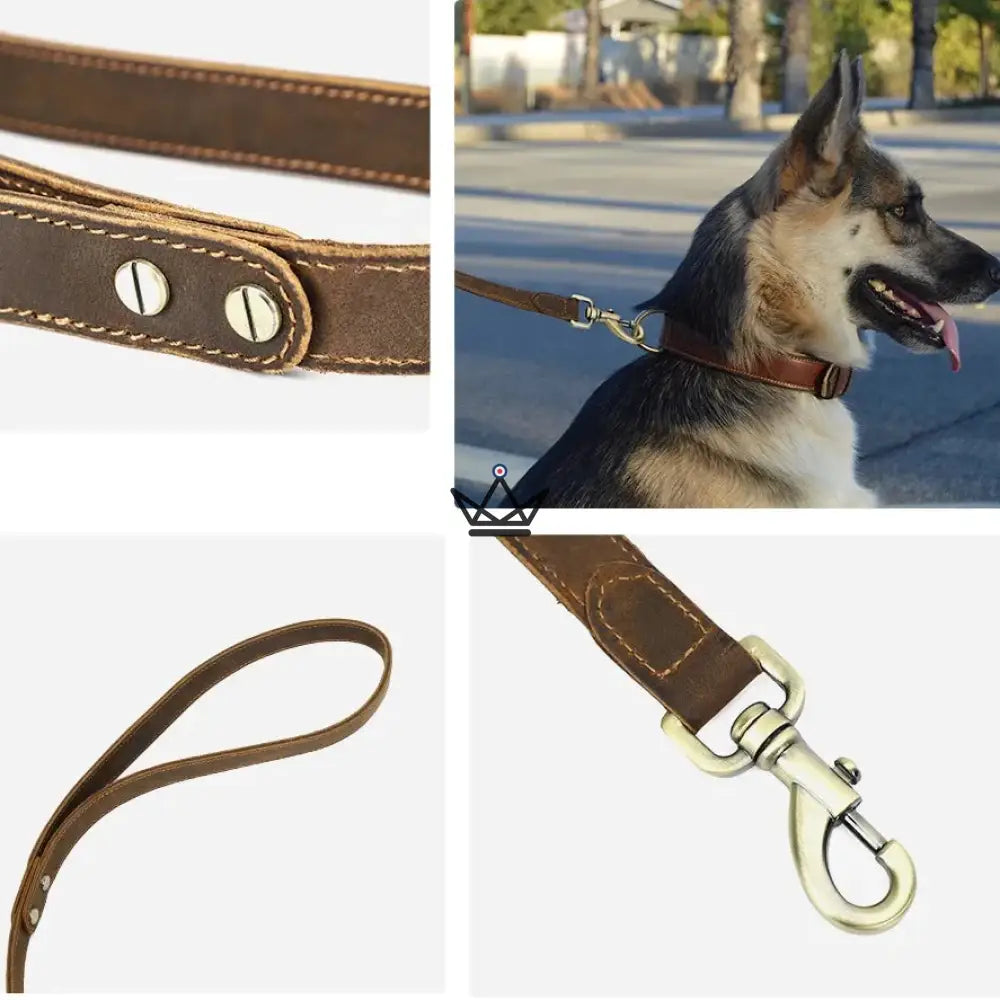 Personalisierbare Hundeleine aus Leder – Voyageur Canis Lupus – Ansicht 3