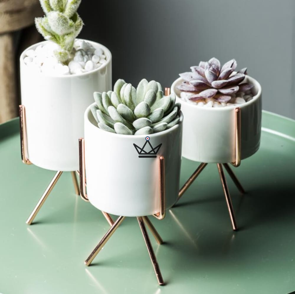 Conjunto de 3 vasos cerámicos - NORDIK - vista 4