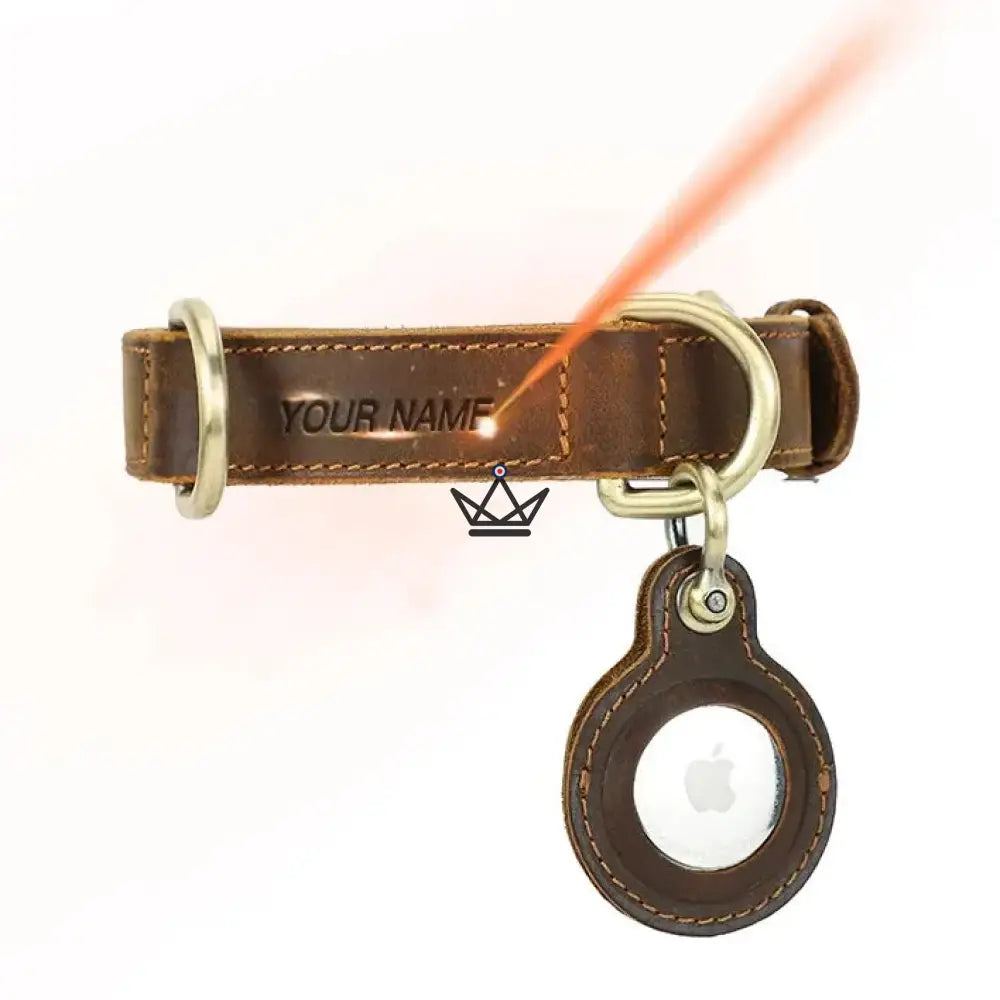 Customizable Leather Dog Collar, AirTag Holder – Argos Voyager — view 4