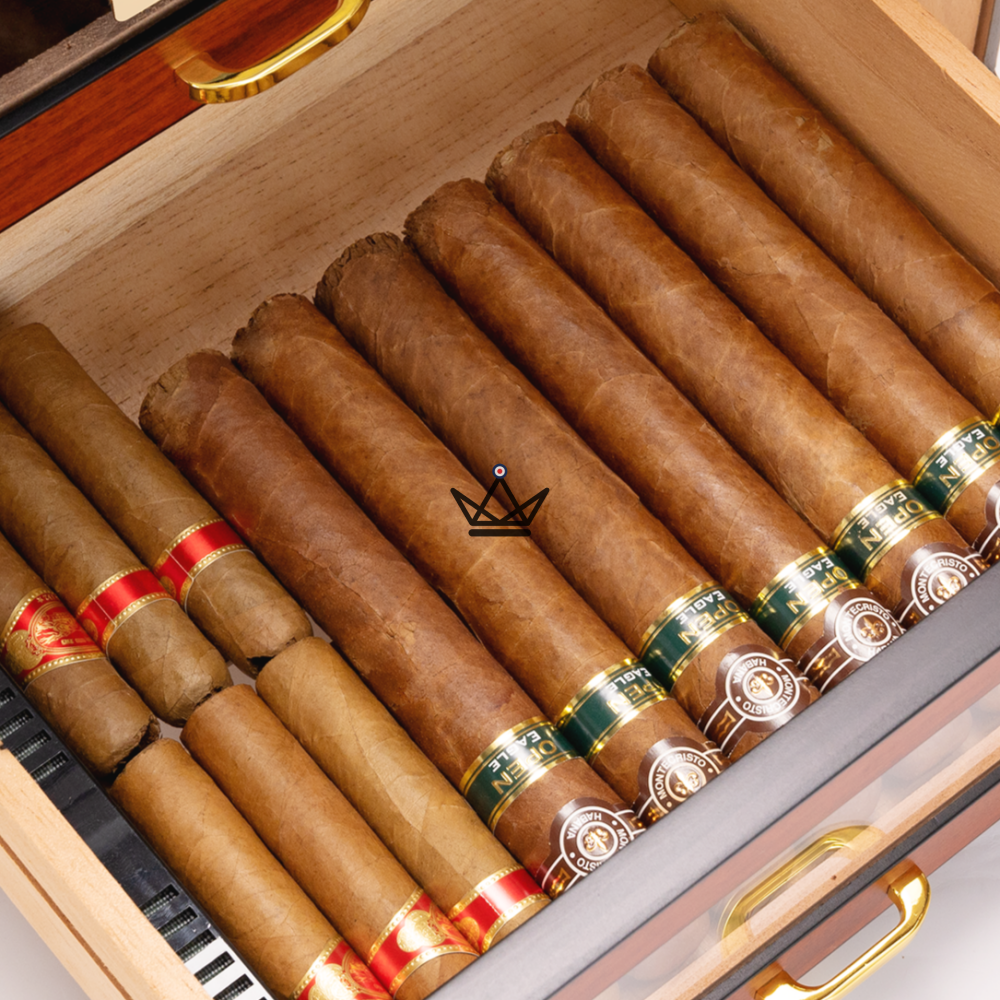 NOCTURIS Cigar Humidor — Piano Lacquer, Spanish Cedar, 3 Gold-Plated Glass Drawers, ~100 Cigars, Walnut or Chablis — view 6