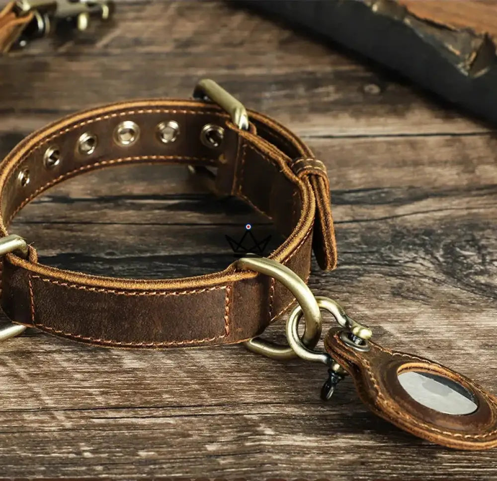 Customizable Leather Dog Collar, AirTag Holder – Argos Voyager — view 8