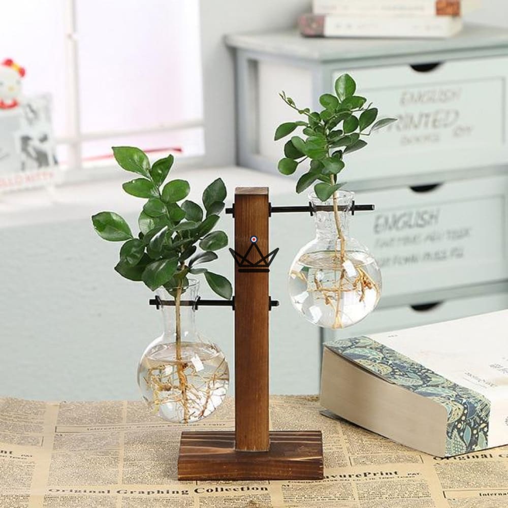 Blumenzwiebelterrarium - EKY – Ansicht 5