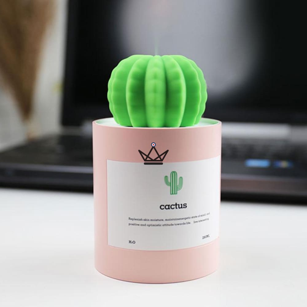 Difusor de aceite esencial - CACTUS — Rosa