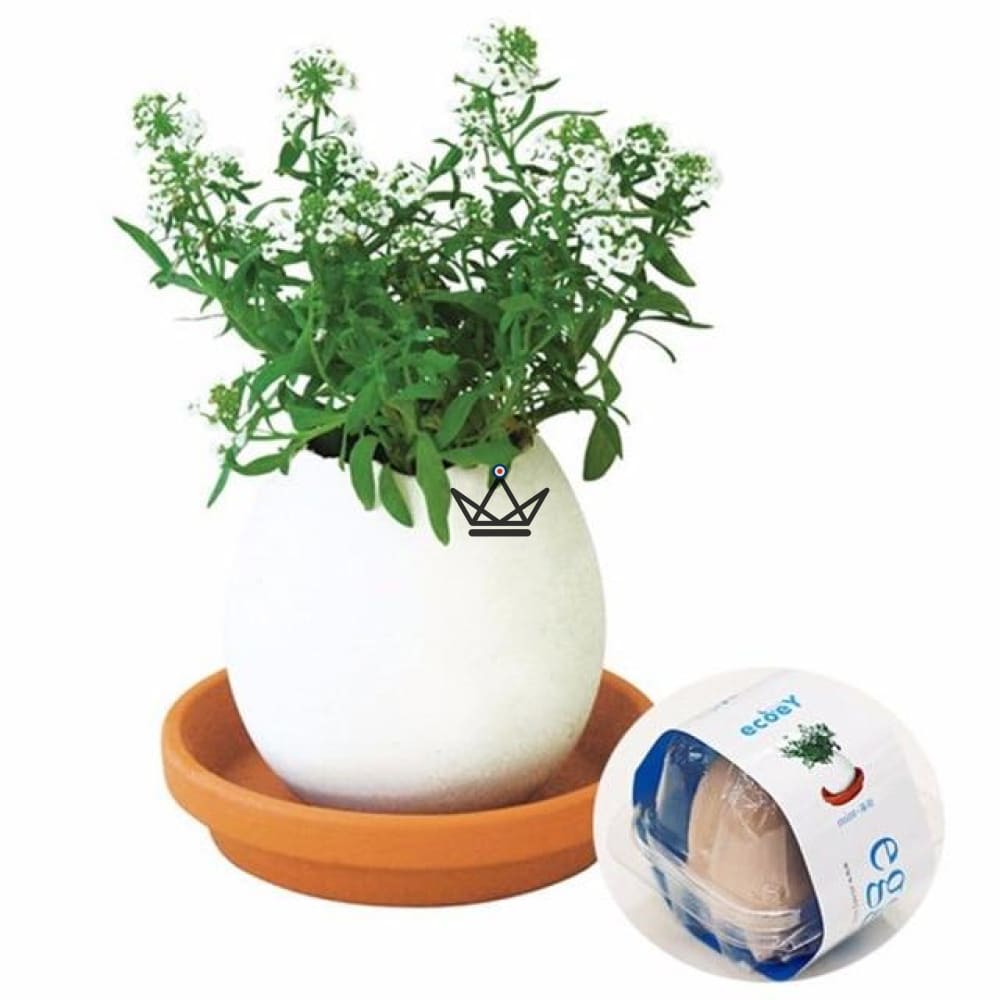 EGGLING - Das Ei stürzt ab X3 – Ansicht 9