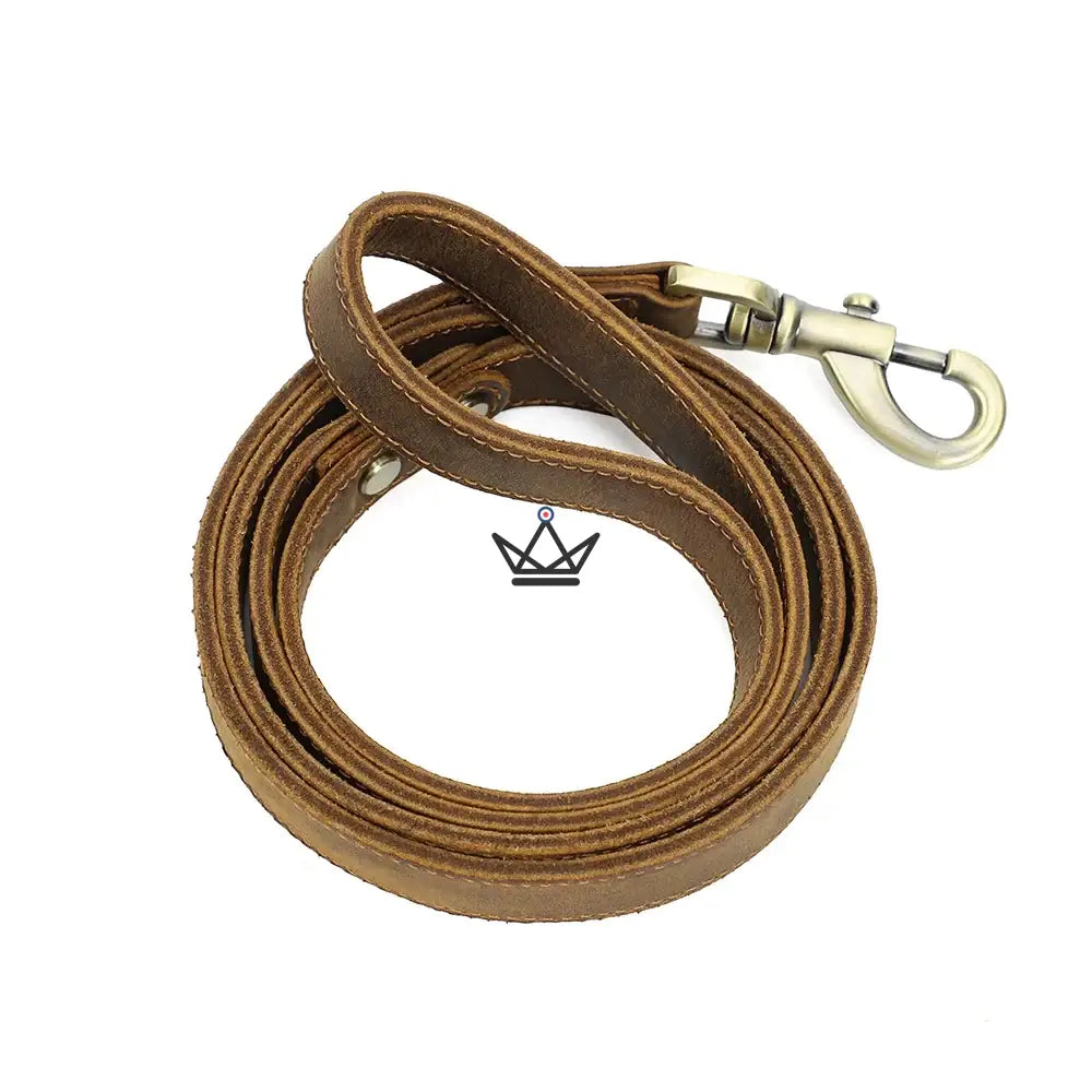 Customizable leather dog leash - Canis Lupus Voyager — view 7