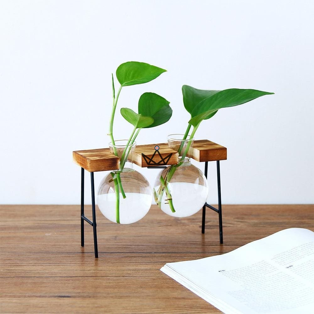 Blumenzwiebelterrarium - ETABLY – Ansicht 2