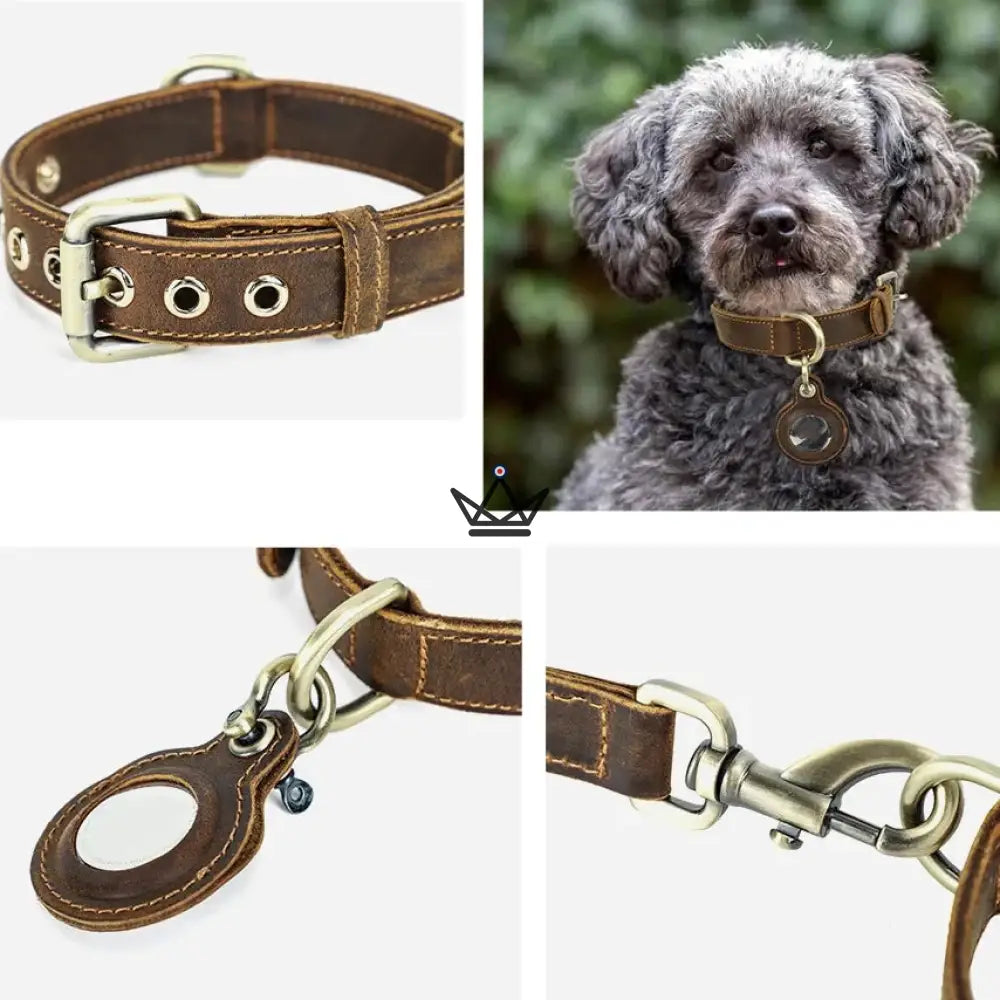 Customizable Leather Dog Collar, AirTag Holder – Argos Voyager — view 7