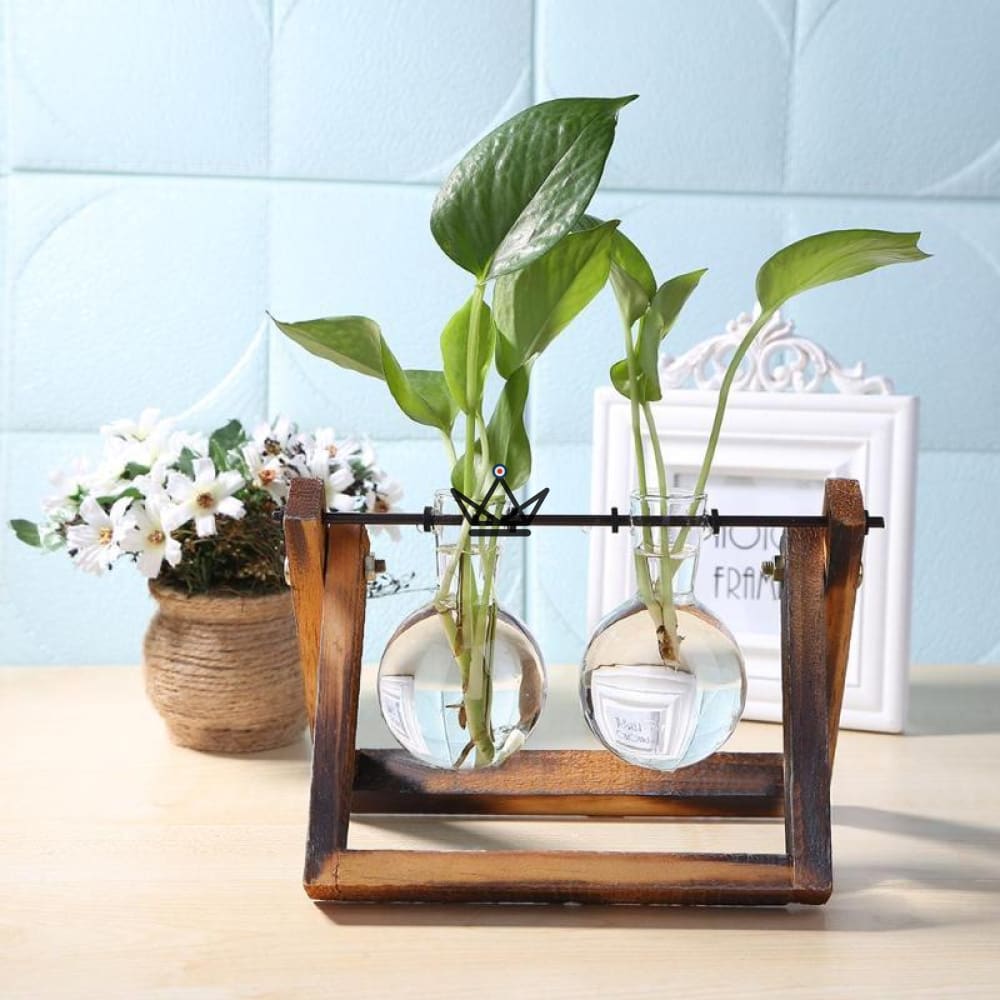 Blumenzwiebelterrarium - TERRA – Ansicht 2
