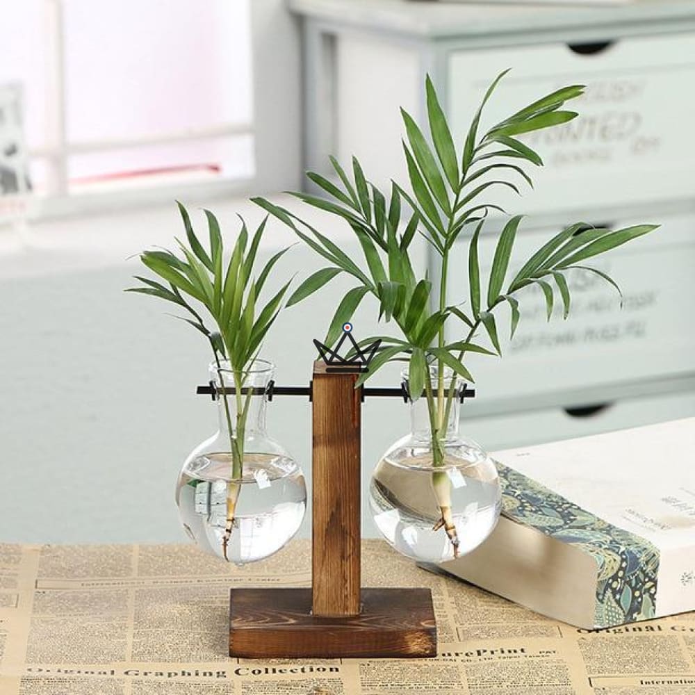 Blumenzwiebelterrarium - EKY – Ansicht 4