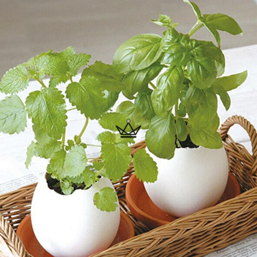 EGGLING - Das Ei stürzt ab X3 – Ansicht 7