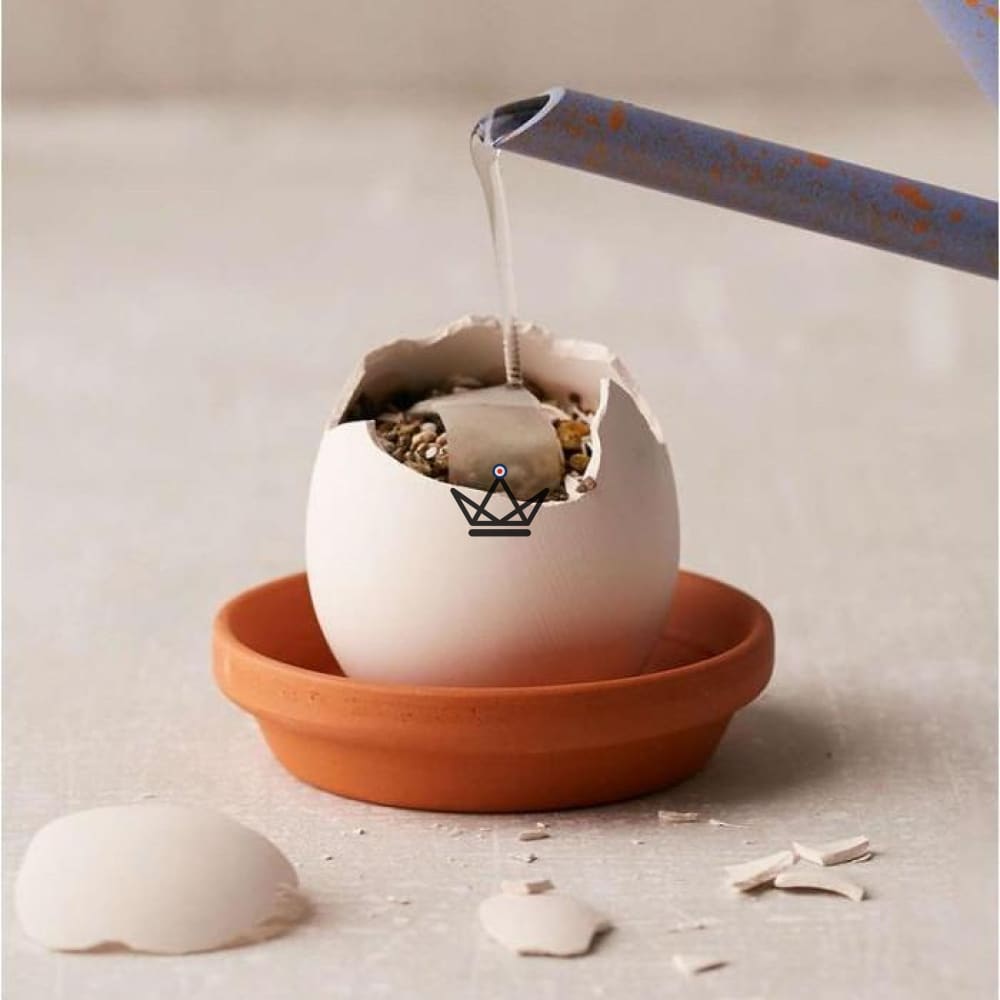 EGGLING - Das Ei stürzt ab X3 – Ansicht 8
