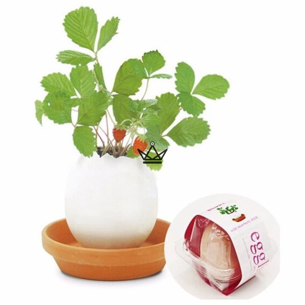 EGGLING - El huevo se bloquea X3 — vista 11