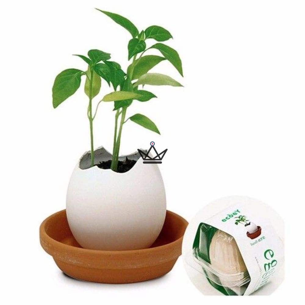 EGGLING - El huevo se bloquea X3 — vista 12